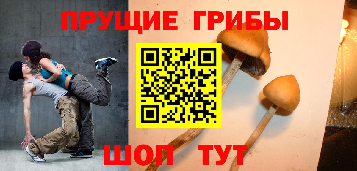 Псилоцибиновые грибы мухоморы Кумертау